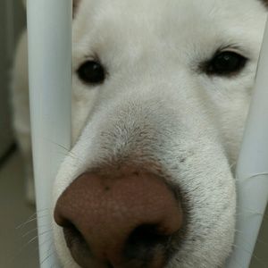 Meet your Posher, Ying